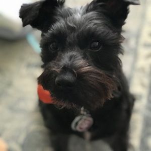 Meet your Posher, Jasveen